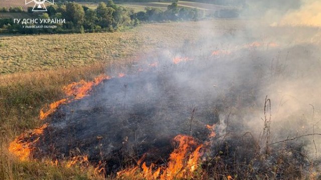 На Львівщині горіли суха трава та чагарник