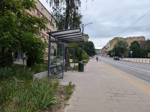 Погода на вівторок: короткочасний дощ, +25°C