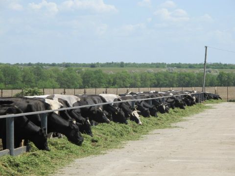 На Львівщині фермер заборгував державі понад 4,5 млн. грн. ПДВ