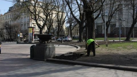 Садовий виділив понад 100 тисяч на озеленення центру міста