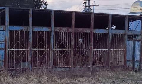 Влада Львова дозволила демонтувати закинутий МАФ на території громади