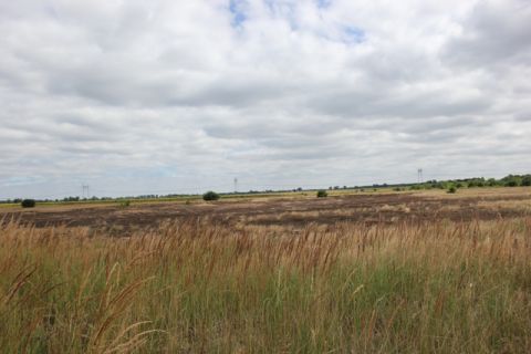 На Жовківщині екологи виявили масштабні забруднення ґрунту