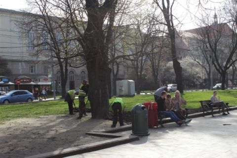 У Львові в цю суботу відбудеться загальноміська толока