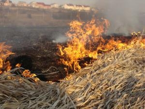 Два дачні будинки згоріли через недбале спалювання сухої трави