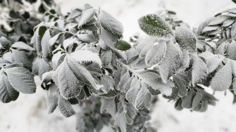 Курс валют у Львові на 23 січня