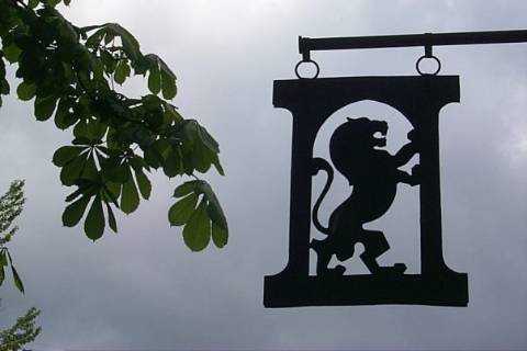 8 депутатів Львівської облради і 2 депутати Львівської міськради мають шанс стати нардепами