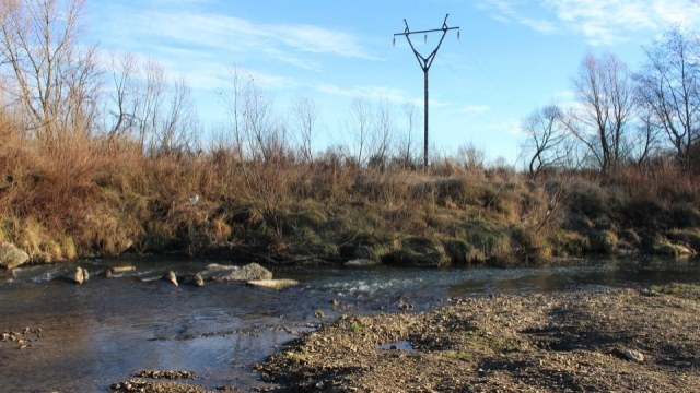 На Львівщині визначились з природоохоронними заходами, що здійснять за бюджетний кошт