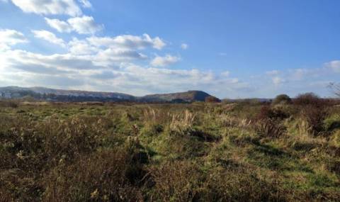 На території Львівської громади створять новий ландшафтний заказник