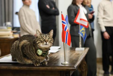 Садовий та його заступники витратили майже півмільйона гривень на поїздки до Венеції, Токіо, Нью-Йорка