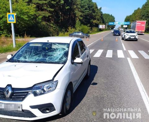 Поблизу Львова водій Renault Logan збив двох пішоходів