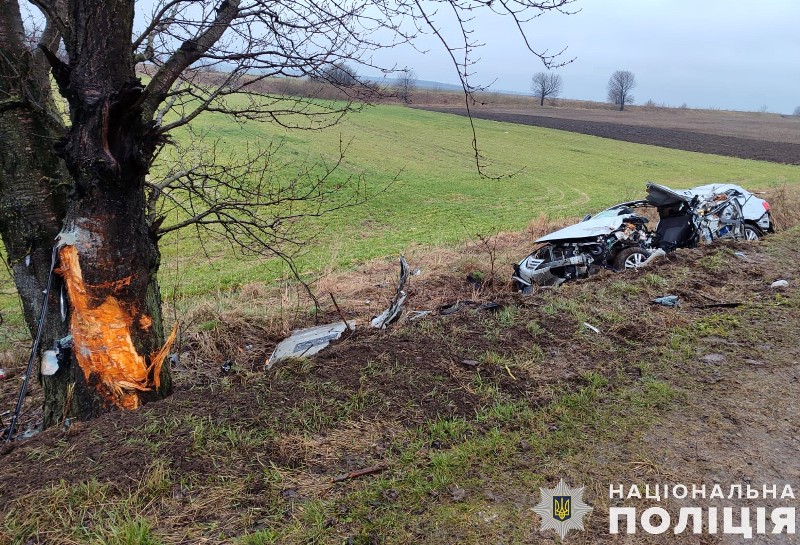 На трасі Львів – Ковель автівка в'їхала у дерево: постраждали двоє людей