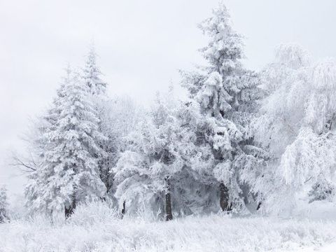 Святкові вихідні будуть сніжними