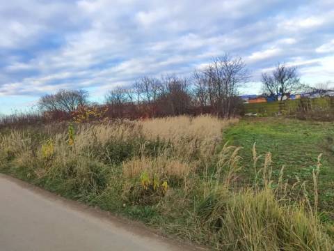 У Львові та Винниках продають п'ять ділянок під промисловість та комерцію