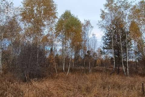 Великомостівська міськрада виставила на продаж землі майбутнього ботанічного заказника