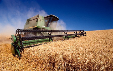 Українське зерно має всі шанси вийти на американський ринок, - експерт