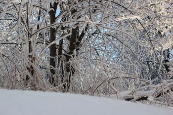 Ожеледиця та налипання мокрого снігу спостерігатимуться на Львівщині завтра