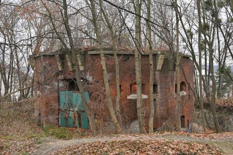 На Цитаделі не знайшли людських поховань під час першого етапу археологічних досліджень