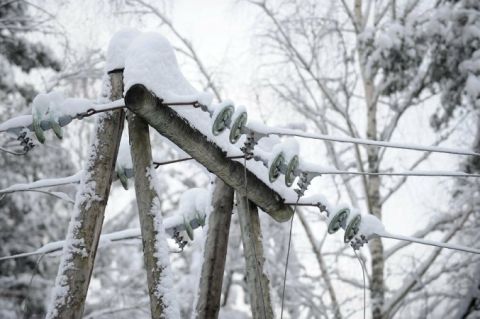 На Львівщині негода знеструмила 161 населений пункт, 57 досі без електрики