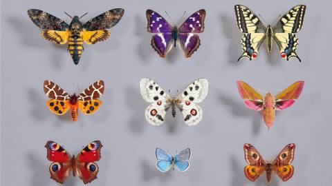 Погода на четвер: ясно, +8°C