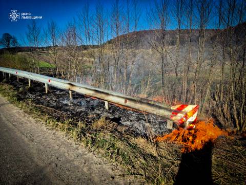 За добу на Львівщині зафіксували майже 40 пожеж сухостою
