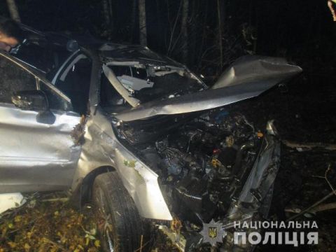 На Радехівщині водій легковика врізався у дерево і загинув