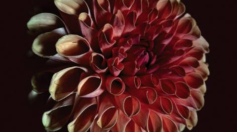 Погода на п'ятницю: без опадів, +4°C