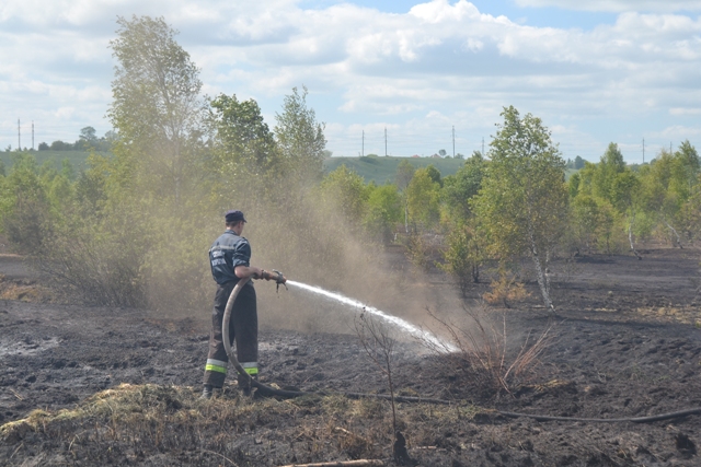 Більше 70 рятувальників ліквідовують пожежу на торфовищі у Яворівському районі