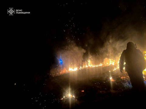 За добу на Львівщині зафіксували понад 50 пожеж сухостою