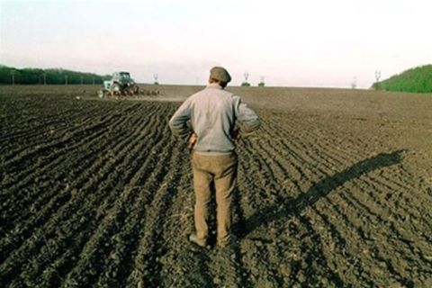 Нідерландці розвиватимуть сільське господарство на Жовківщині