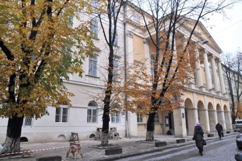 Дерева біля театру ім. М. Заньковецької у Львові пошкоджені неправильним доглядом