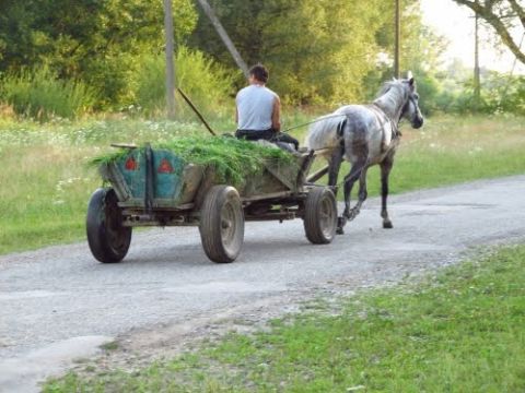 На Львівщині мікроавтобус в'їхав у віз: двоє людей травмовано