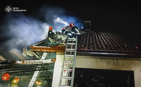 Поблизу Львова під час пожежі згоріли електромобіль та мотоцикл