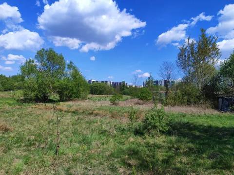 У Львівській громаді виставляють на продаж та здають в оренду шість ділянок під промисловість, комерцію та житлову забудову