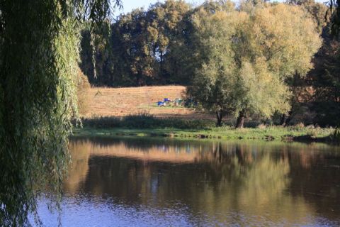 Львівська ОДА виставить на торги озеро у Кам’янка-Бузькому районі