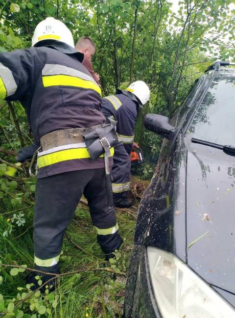 На Стрийщні з'їхала у кювет автівка з 2-річною дитиною