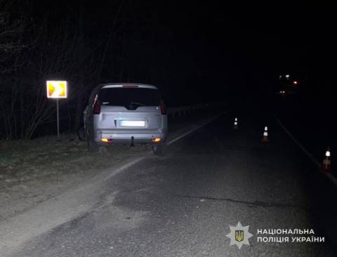 На трасі Львів – Краківець п`яний водій Peugeot збив мотоцикліста