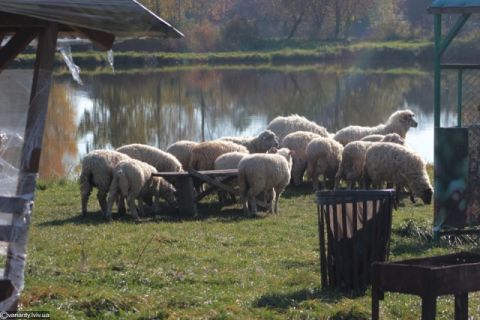 На Львівщині планують закуповувати генератори для фермерів