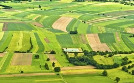 На Львівщині виділять ще 130 земельних ділянок учасникам АТО