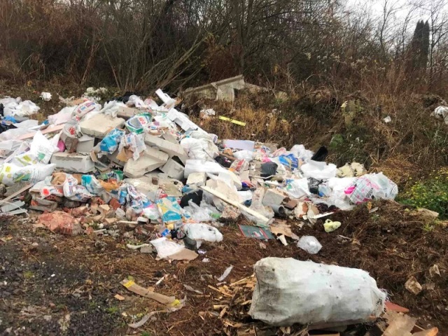 Поблизу Голосківського кладовища у Львові виявили звалище сміття і будвідходів