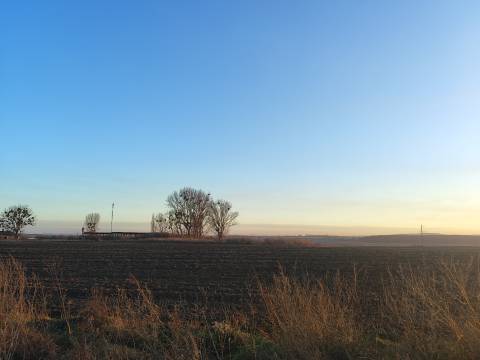 На аукціон планують виставити ділянку сільськогосподарського призначення поблизу Львова