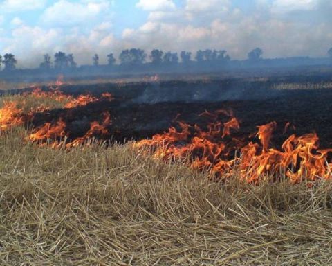 На Львівщині через спалювання стерні загинула людина