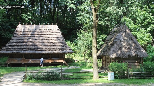 Шевченківський гай охоронятимуть за 400 тисяч