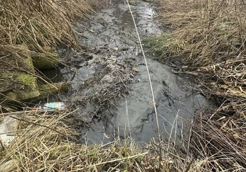 У Брюховичах меліоративний канал забруднюють каналізаційними стоками