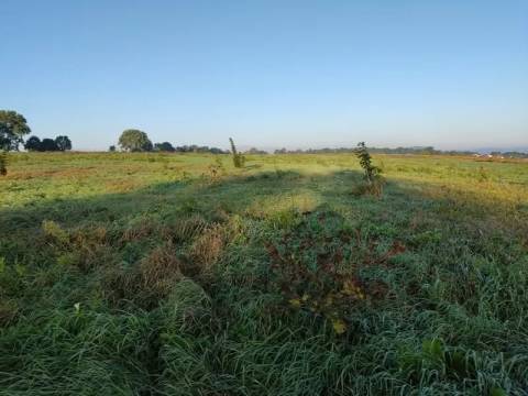 На аукціон виставили понад десять ділянок у Львові та навколишніх селах