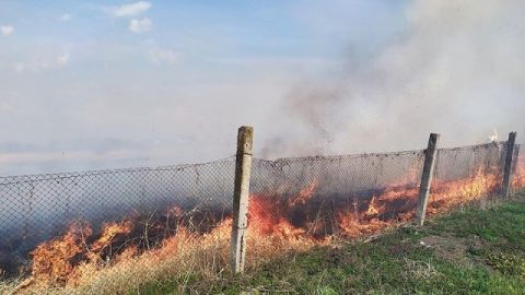 За добу на Львівщині зафіксували сім пожеж сухостою