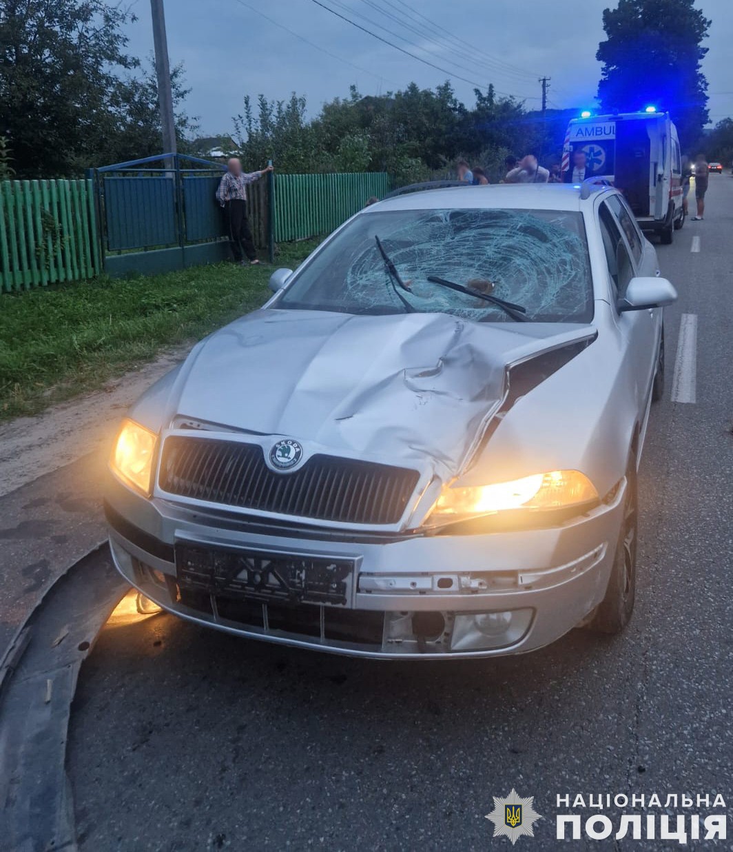 На Львівщині водій Skoda Octavia на смерть збив підлітка 