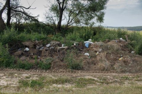 У Брюховичах екологи виявили незаконне сміттєзвалище