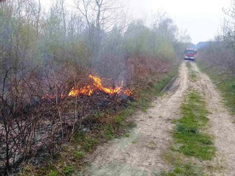 На Львівщині зафіксували дві пожежі сухостою