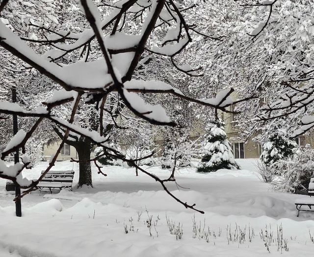 Снігопад паралізував електропостачання сотень сіл на Львівщині
