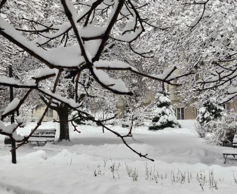 Снігопад паралізував електропостачання сотень сіл на Львівщині